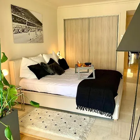Apartment Magnifique 3 Pieces En Plein Coeur De *