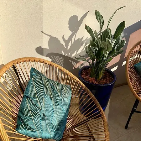 Magnifique 3 Pieces En Plein Coeur De Apartment *
