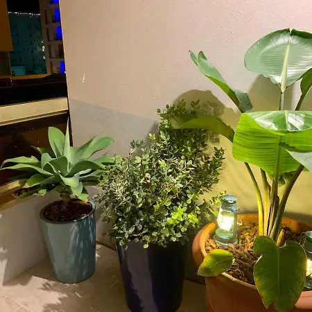 Διαμέρισμα Magnifique 3 Pieces En Plein Coeur De Κάννες